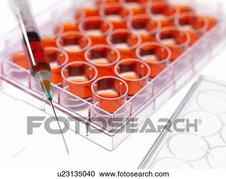 Stem cell research View Large Photo Image Stock Image - Stem cell research. Fotosearch