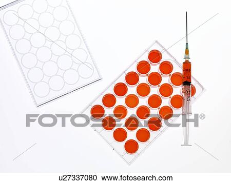 Stock Image - Stem cell research. Fotosearch