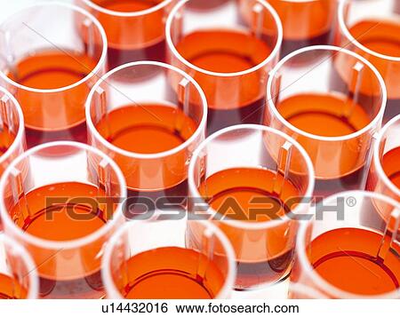 Stock Photograph - Stem cell research. Fotosearch