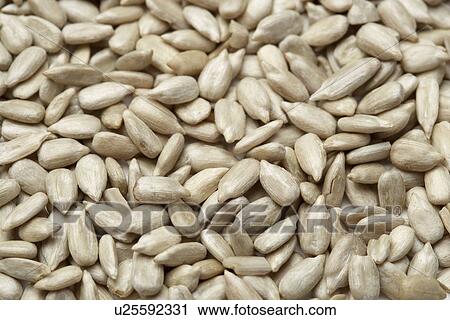 Stock Image - Sunflower seeds. Fotosearch