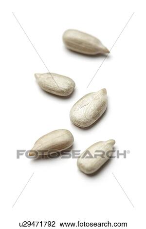Sunflower seeds View Large Photo Image Stock Image - Sunflower seeds. Fotosearch
