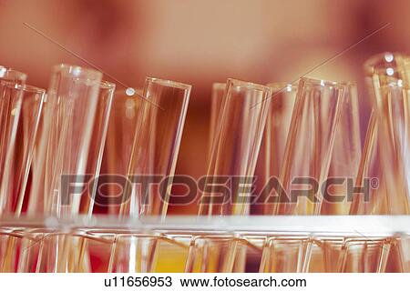 Test tubes View Large Photo Image Stock Image - Test tubes. Fotosearch
