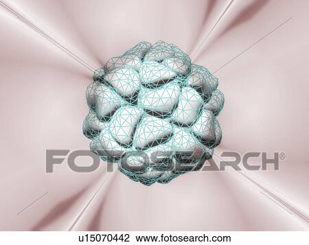 Stock Image - Tobacco necrosis virus, artwork. Fotosearch