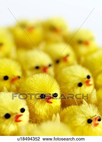Toy chicks View Large Photo Image Stock Image - Toy chicks. Fotosearch