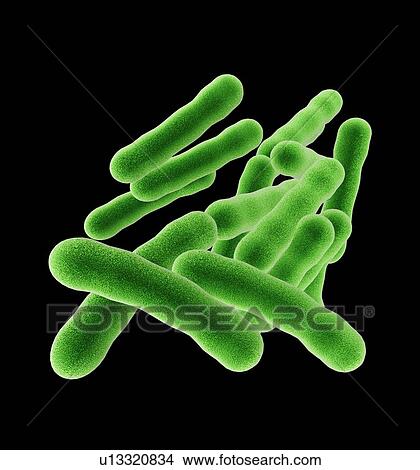Tuberculosis bacteria, artwork View Large Photo Image Picture - Tuberculosis bacteria, artwork. Fotosearch