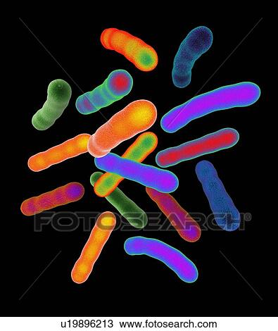 Tuberculosis bacteria, artwork View Large Photo Image Stock Image - Tuberculosis bacteria, artwork. Fotosearch