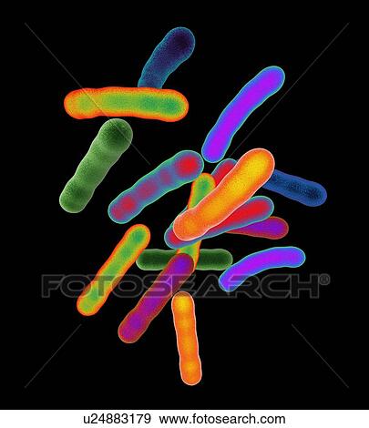 Tuberculosis bacteria, artwork View Large Photo Image Stock Photo - Tuberculosis bacteria, artwork. Fotosearch