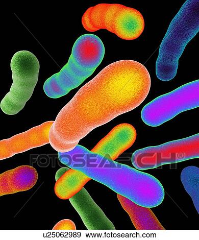 Tuberculosis bacteria, artwork View Large Photo Image Stock Photo - Tuberculosis bacteria, artwork. Fotosearch