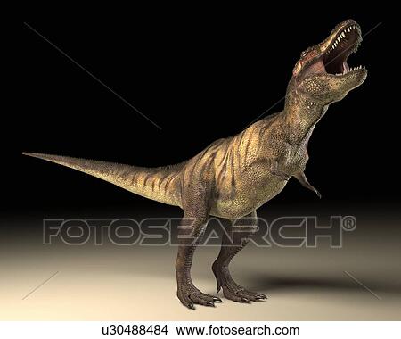 Tyrannosaurus rex dinosaur View Large Photo Image Picture - Tyrannosaurus rex dinosaur. Fotosearch