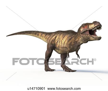 Stock Image - Tyrannosaurus rex dinosaur. Fotosearch