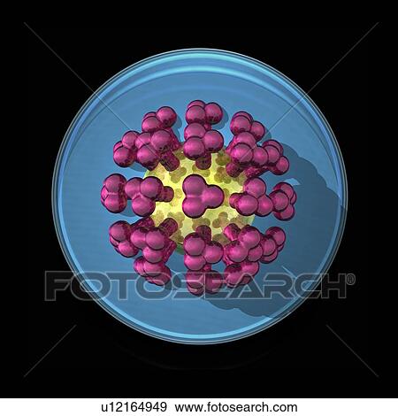 Viral research, conceptual artwork View Large Photo Image Stock Photo - Viral research, conceptual artwork. Fotosearch