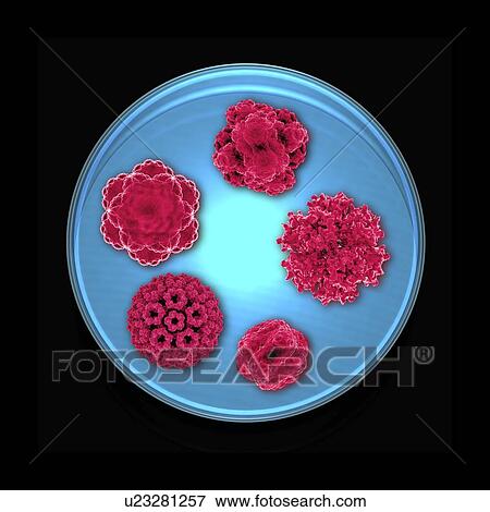 Viral research, conceptual artwork View Large Photo Image Stock Photo - Viral research, conceptual artwork. Fotosearch
