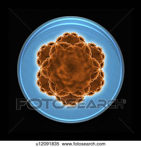 Stock Photography - Viral research, conceptual artwork. Fotosearch