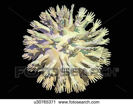 Virus, conceptual artwork View Large Photo Image Stock Image - Virus, conceptual artwork. Fotosearch
