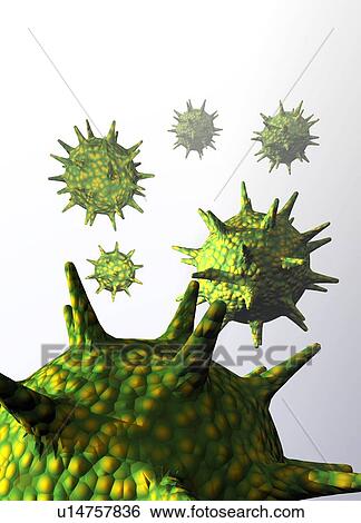 Stock Photograph - Virus particles, conceptual artwork. Fotosearch