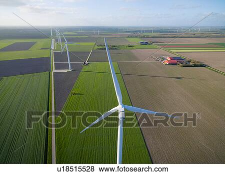 Stock Photo - Wind turbines on farmland, Zeewolde, Flevoland, Netherlands. Fotosearch