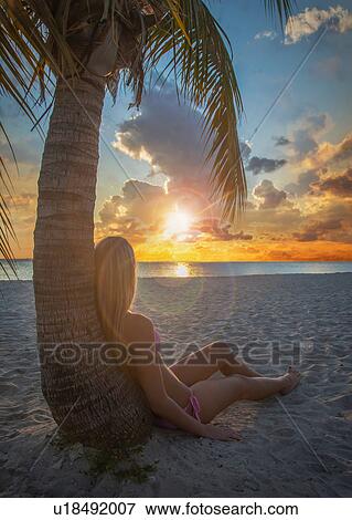 Young woman leaning against palm tree watching sunset on Miami Beach, Florida, USA View Large Photo Image Stock Photo - Young woman leaning against palm tree watching sunset on Miami Beach, Florida, USA. Fotosearch