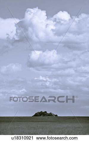 afternoon, Central, Tanzania, Serengeti, National Park, beauty, Africa View Large Photo Image Stock Image - afternoon, Central, Tanzania, Serengeti, National Park, beauty, Africa. Fotosearch