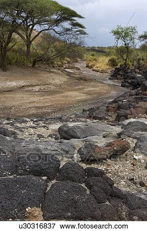Stock Photo - ancient, Central, Tanzania, Olduvai, Gorge, archeological, Africa. Fotosearch