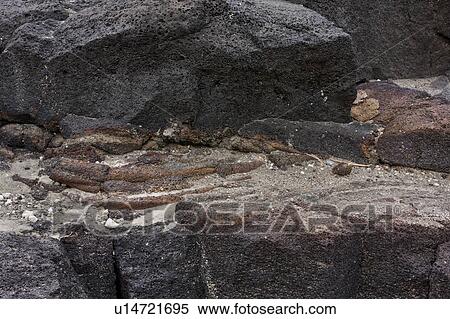 ancient, Central, Tanzania, Olduvai, Gorge, archeological, Africa View Large Photo Image Stock Photography - ancient, Central, Tanzania, Olduvai, Gorge, archeological, Africa. Fotosearch