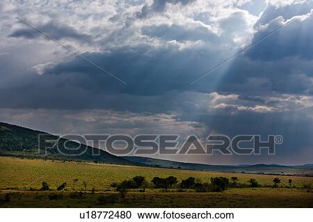 Stock Image - beauty, African, afternoon, Masai Mara, Kenya, clouds, Africa. Fotosearch