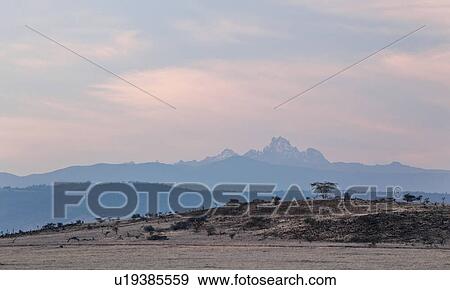 Stock Photo - beauty, African, Mount Kenya, Lewa Downs, Kenya, colorful, Africa. Fotosearch