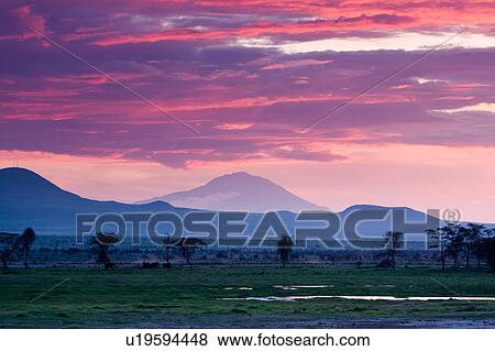 blue, African, beauty, Kenya, Amboseli, clouds, Africa View Large Photo Image Stock Photo - blue, African, beauty, Kenya, Amboseli, clouds, Africa. Fotosearch