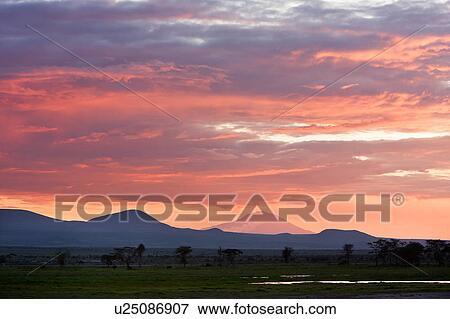 blue, African, beauty, Kenya, Amboseli, clouds, Africa View Large Photo Image Stock Photo - blue, African, beauty, Kenya, Amboseli, clouds, Africa. Fotosearch