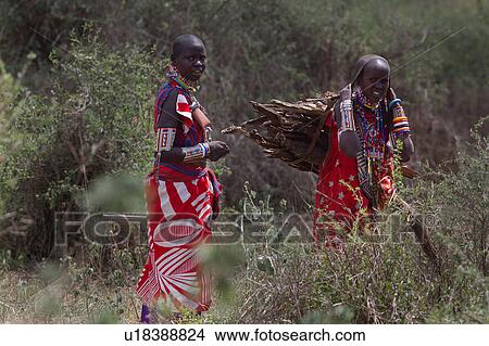 Picture - Masai, African, Maasai, Kenya, Amboseli, Nilote, Africa. Fotosearch
