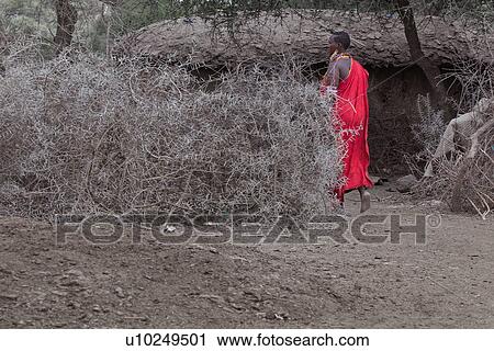 Stock Image - Masai, African, Maasai, Kenya, Amboseli, Nilote, Africa. Fotosearch