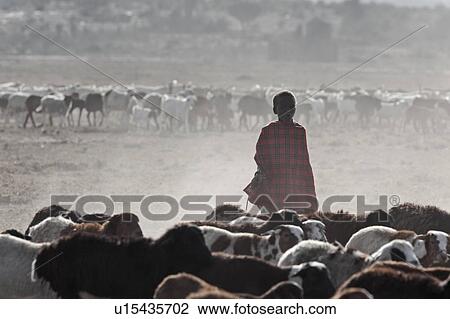 Stock Image - Masai Mara, African, Masai, Maasai, Kenya, Nilote, Africa. Fotosearch