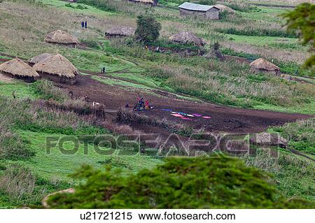 Ngorogoro, Central, Masai, Maasai, Conservation Area, Nilote, Africa View Large Photo Image Stock Photography - Ngorogoro, Central, Masai, Maasai, Conservation Area, Nilote, Africa. Fotosearch