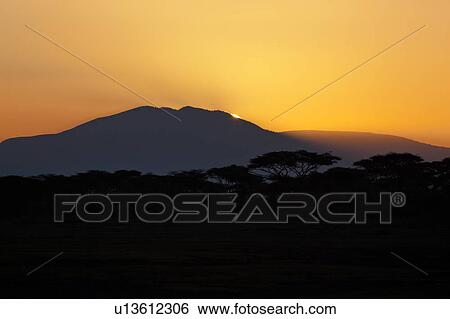 Ngorogoro Conservation Area, Central, Ndutu, National Park, Lemagrut, Serengeti, Africa View Large Photo Image Stock Photograph - Ngorogoro Conservation Area, Central, Ndutu, National Park, Lemagrut, Serengeti, Africa. Fotosearch