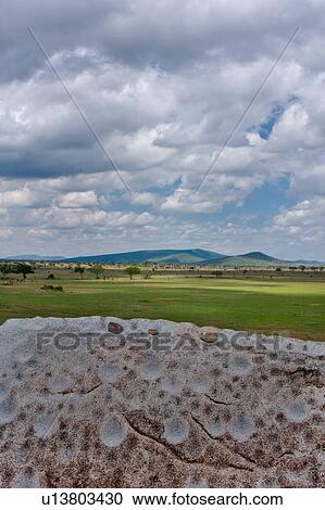 Serengeti, Central, Ngong Rock, National Park, Masai, Tanzania, Africa View Large Photo Image Stock Image - Serengeti, Central, Ngong Rock, National Park, Masai, Tanzania, Africa. Fotosearch