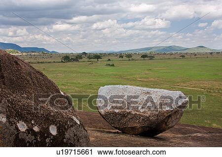 Stock Image - Serengeti, Central, Ngong Rock, National Park, Masai, Tanzania, Africa. Fotosearch