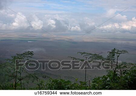 World Heritage Site, Central, Tanzania, Ngorogoro, Conservation Area, beauty, Africa View Large Photo Image Picture - World Heritage Site, Central, Tanzania, Ngorogoro, Conservation Area, beauty, Africa. Fotosearch