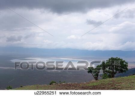 World Heritage Site, Central, Tanzania, Ngorogoro, Conservation Area, beauty, Africa View Large Photo Image Stock Image - World Heritage Site, Central, Tanzania, Ngorogoro, Conservation Area, beauty, Africa. Fotosearch