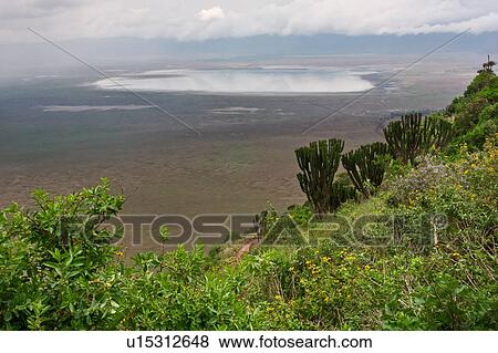 World Heritage Site, Central, Tanzania, Ngorogoro, Conservation Area, beauty, Africa View Large Photo Image Stock Photo - World Heritage Site, Central, Tanzania, Ngorogoro, Conservation Area, beauty, Africa. Fotosearch