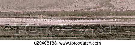 World Heritage Site, Central, Tanzania, Ngorogoro, Conservation Area, beauty, Africa View Large Photo Image Stock Photo - World Heritage Site, Central, Tanzania, Ngorogoro, Conservation Area, beauty, Africa. Fotosearch
