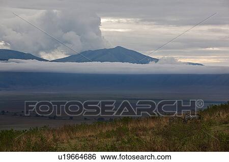 World Heritage Site, Central, Tanzania, Ngorogoro, Conservation Area, beauty, Africa View Large Photo Image Stock Photograph - World Heritage Site, Central, Tanzania, Ngorogoro, Conservation Area, beauty, Africa. Fotosearch