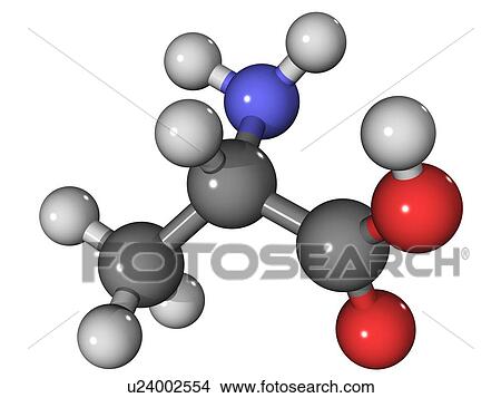 Picture - Alanine amino acid molecule. Fotosearch