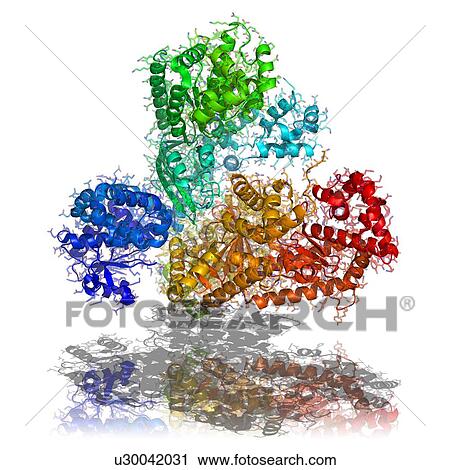 Stock Image - Anthrax toxin, molecular model. Fotosearch