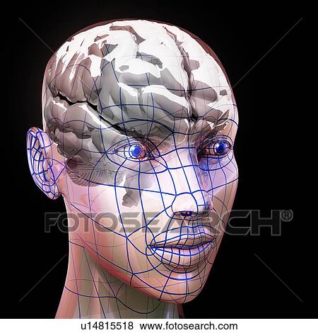 Stock Photo - Artificial intelligence, artwork. Fotosearch