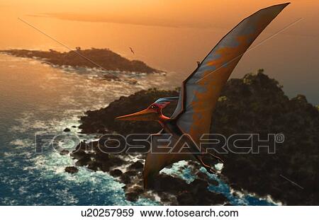 Stock Photo - Artwork of pteranodon sternbergi. Fotosearch