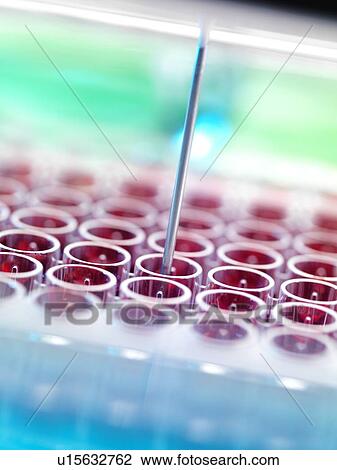 Automated blood screening View Large Photo Image Stock Image - Automated blood screening. Fotosearch