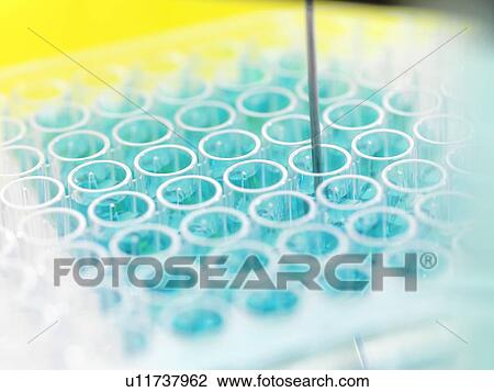 Stock Image - Biochemistry research. Fotosearch