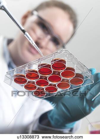 Stock Image - Biological research. Fotosearch