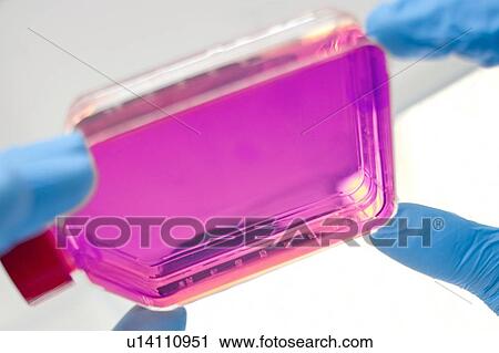Stock Image - Biological research. Fotosearch