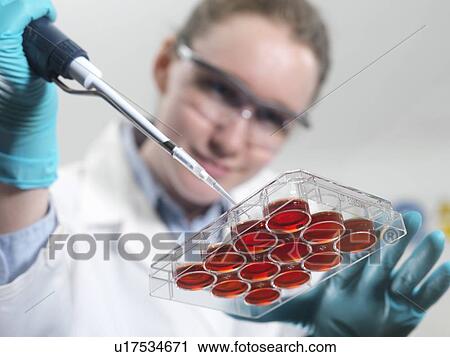 Stock Image - Biological research. Fotosearch