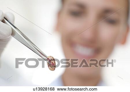 Biological research View Large Photo Image Stock Photo - Biological research. Fotosearch